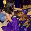 Breana Glover attaches a cap to "Luke," a Diabetic Alert Dog.